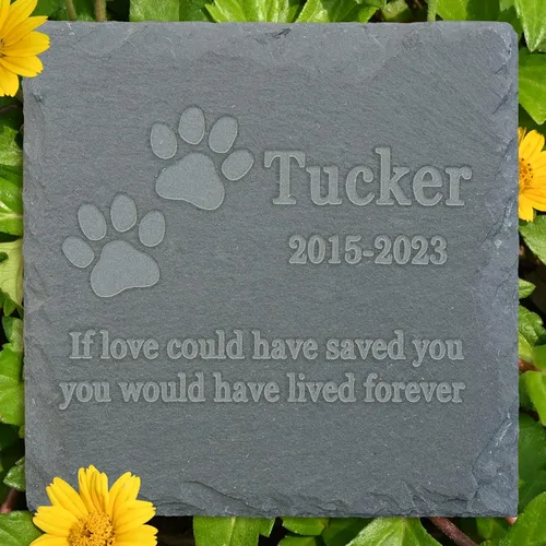Vista 15 de Regalo de piedra conmemorativa para mascotas, lápida conmemorativa de jardín, marcador de tumba de toro, lápida de condolencia, regalo personalizado