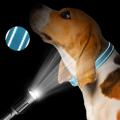Vista 4 de 12 piezas de collares Martingale para perros medianos, collar reflectante para perros con hebilla de metal duradera ajustable de nylon