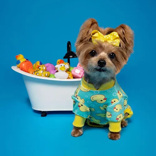 Vista 8 de KYEESE - Pijama de terciopelo para perros, con patrón de patos amarillos, ropa elástica y suave para cachorros y perros pequeños, mameluco cómodo