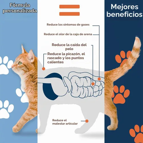 Vista 4 de Pet Ultimates probióticos para gatos, 44 gramos