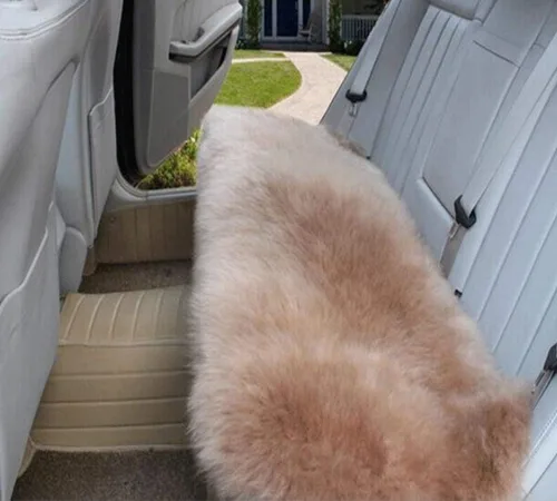 Vista 9 de Calor Invernal: Funda Universal de Asiento de Piel de Oveja - Lana Natural, para Autos, Camiones, SUV y Furgonetas - Acompañante de Conducción