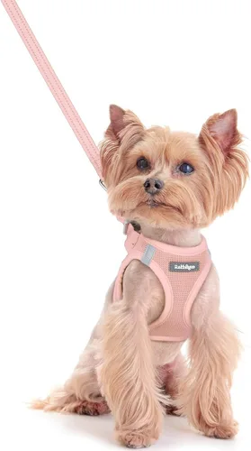 Vista 178 de rabbitgoo Arnés para perro de tamaño pequeño y juego de correa, chaleco Cachorros de manzana