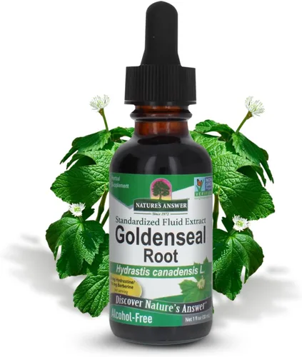 Vista 9 de Nature's Answer Goldenseal Root Suplemento a base de hierbas Apoya un sistema inmunológico saludable Sin gluten y sin alcohol 1 oz