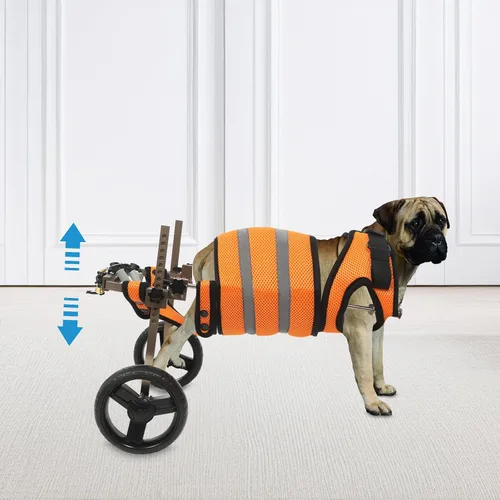 Vista 3 de Silla de ruedas ajustable para perro para patas traseras, silla de ruedas para perro, amortiguador de EVA especialmente diseñada para mascotas