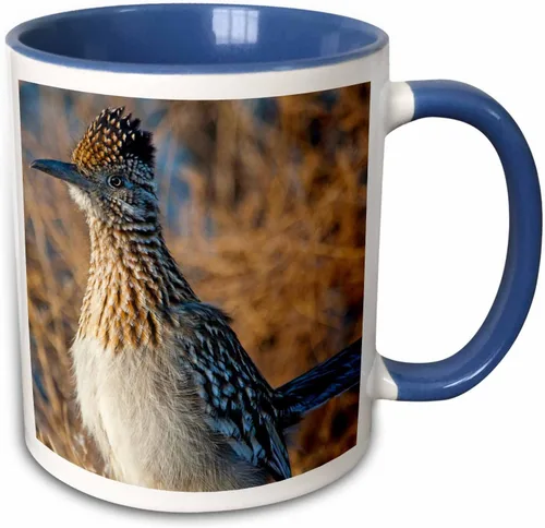 Vista 8 de 3dRose Roadrunner bird, Bosque del apache NWR, Nuevo México - US32 CHA0044 - Chuck Haney - Taza negra de dos tonos de 11 oz Negro