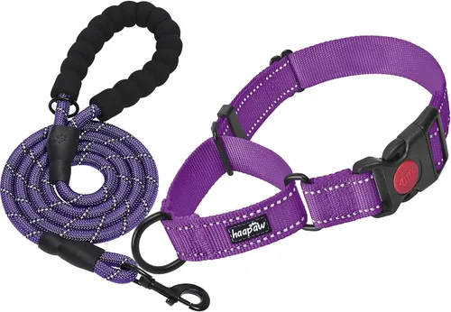 Vista 11 de Haapaw Collar de perro Martingala a prueba de escapes, beige, S