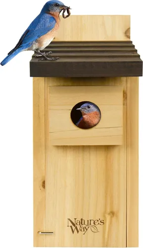 Vista 8 de Wild Wings WWCH3 Cedro Blue Bird Box House