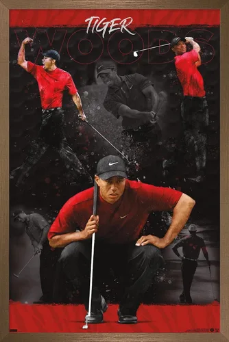 Vista 15 de Trends International Tiger Woods - Póster de pared de bosquejo, 14.725 x 22.375 pulgadas, versión enmarcada de madera de granero