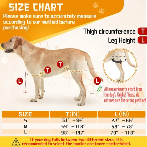 Vista 5 de Rodillera para perro ACL, soporte de cadera para perro para desgarro frontal y trasero, patas traseras de ACL, cómodo y ajustable, soporte