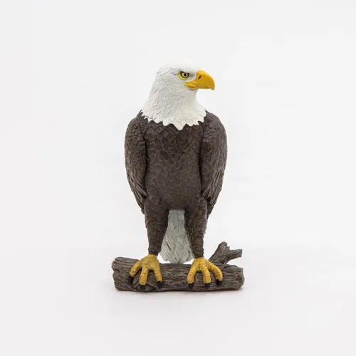 Vista 3 de Papo - Figura realista de águila calva - A partir de 3 años - Colección Wild Life - Juego educativo de aves de presa - Juguete de idea de regalo