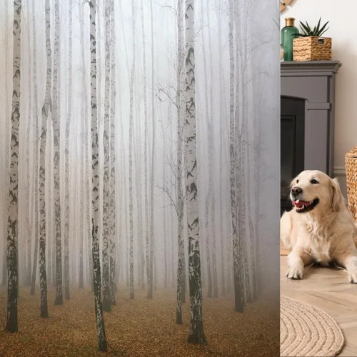Vista 18 de Película decorativa de privacidad para ventana, control de calor, bloqueo solar, protección UV, diseño de bosque de abedul, adherencia estática