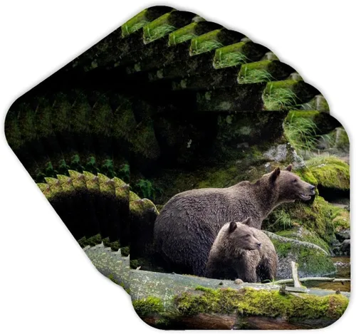 Vista 8 de 3dRose Brown Bear cub Staying Close to mom at ANAN Creek. Set of 4 Coasters - Cork