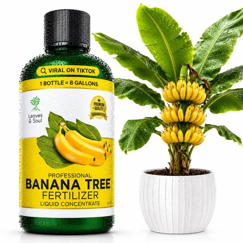 Vista 21 de Leaves & Soul Evergreen Tree Fertilizer, 6-4-6 Liquid Evergreen Food 8 oz Árbol de hoja perenne