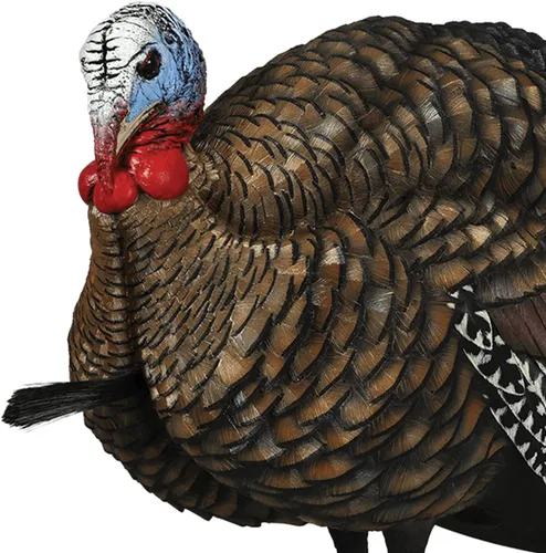 Vista 6 de Avian X LCD 1/2 Strut Jake - Señuelo de pavo