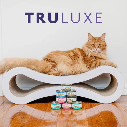Vista 10 de Weruva TruLuxe Alimento para gatos, carne fritas de carne con carne de res y calabaza en salsa, lata de 3 onzas (paquete de 24)
