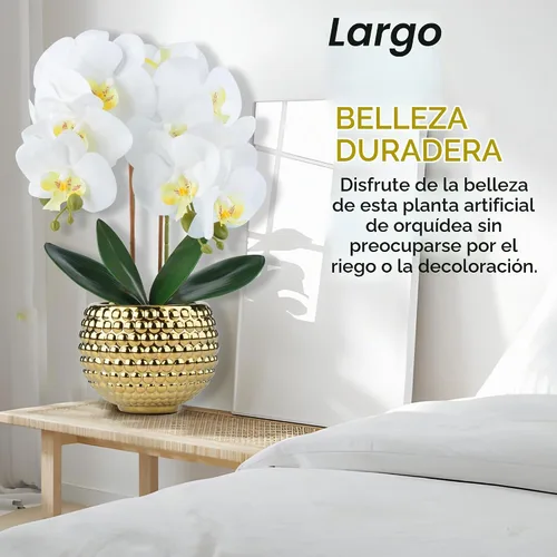 Vista 6 de Orquídeas artificiales grandes, orquídeas artificiales blancas de 17 pulgadas con maceta dorada para decoración de sala de estar, planta de orquídea