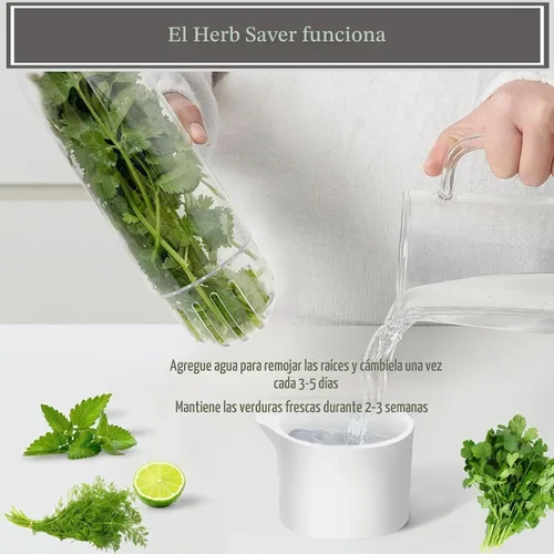 Vista 4 de Protector de hierbas, conservador de hierbas para refrigerador, recipiente de cilantro para refrigerador, hierbas frescas, lechuga, conservación