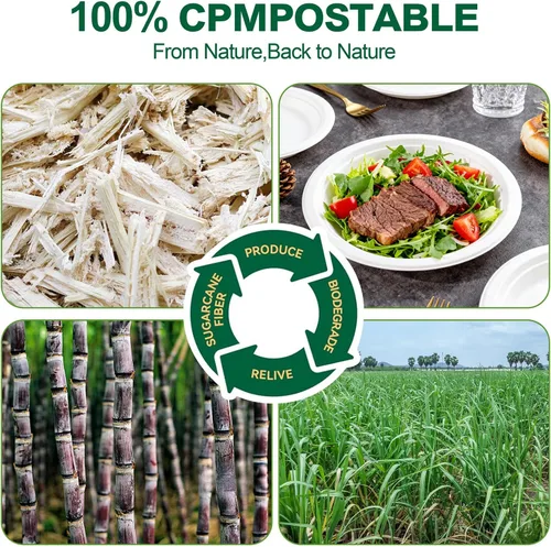Vista 6 de DaYammi Platos de Papel 100% Compostables de 7 Pulgadas, Paquete de 60 Platos de Papel Resistente, Bagazo Biodegradable, Platos de Postre