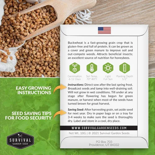 Vista 2 de Semillas de trigo sarraceno para plantar, 1 paquete Heirloom Non-GMO, Fast-Growing Cover Crop & Edible Grain, White Flowers for Pollinators