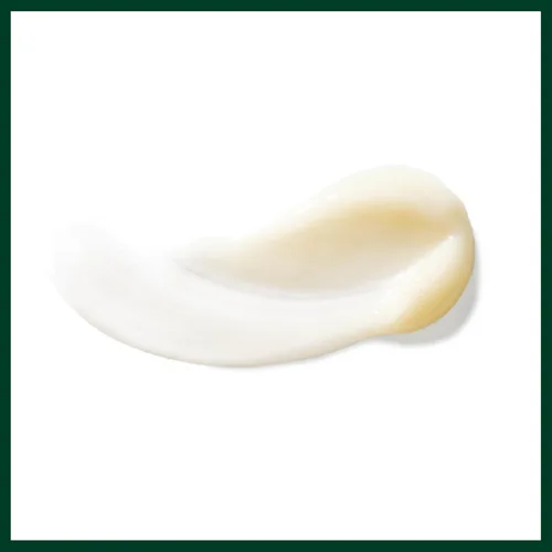 Vista 7 de Aveda Champú y acondicionador Pure-Formance para hombre 10 oz Duo set