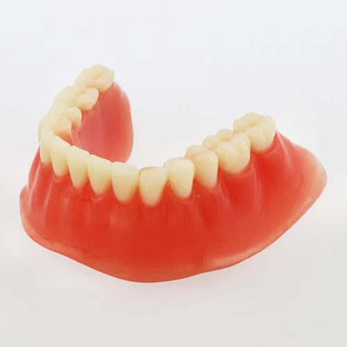 Vista 4 de Dental Dientes Modelo Oro Plata Demostración Color Practise Enseñanza Demo 4 Implante (GOLD BAR)