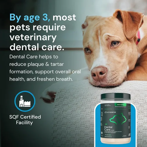 Vista 7 de VETRISCIENCE Polvo de cuidado dental - Suplemento dental en polvo para perros y gatos - Apoya la frescura del aliento - Dientes y encías saludables
