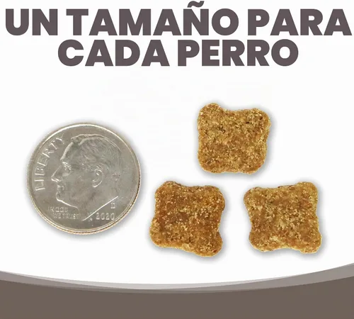 Vista 6 de NutriSource Alimento seco para perros mayores, pollo y arroz, 4 libras