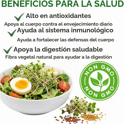 Vista 5 de Todd's Seeds Mezcla de semillas para germinar; Brócoli, rábano, alfalfa, sin OMG, libres de químicos, alta germinación (1/4 libra)