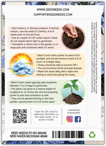 Vista 2 de Seed Needs Semillas de comino negro para plantar hierbas tradicionales sin OMG, 2 paquetes