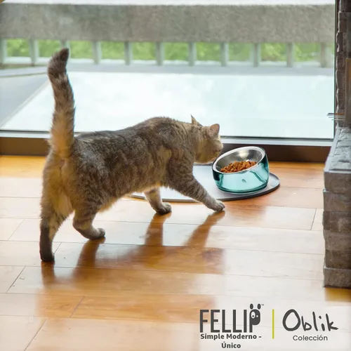 Vista 9 de Felli Oblik Cuencos Elevados para Comida de Gatos de Acero Inoxidable 304, Plato Plano Desmontable para Fatiga de Bigotes y Fácil Limpieza en Clásico