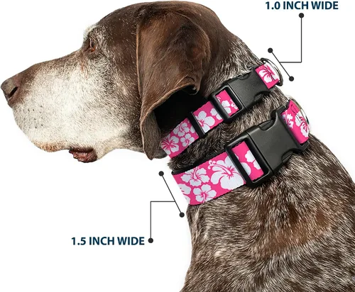 Vista 2 de Buckle-Down Collar de clip de plástico, hibisco rosa neón, blanco, 1 pulgada de ancho, se adapta a cuello de 9 a 15 pulgadas, pequeño Hibiscus