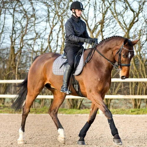 Vista 5 de HORZE Botas de férula de cepillado para caballos (par) - Neopreno duradero, cierre seguro, ligero - Negro - L