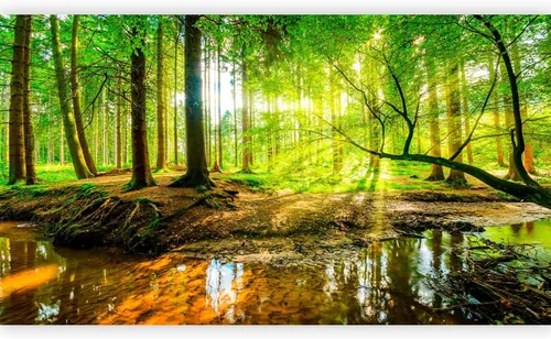 Vista 8 de artgeist Mural de pared premium tropical 197 x 110 pulgadas, papel tapiz no tejido, decoración de pared de vellón, impresión fotográfica, diseño