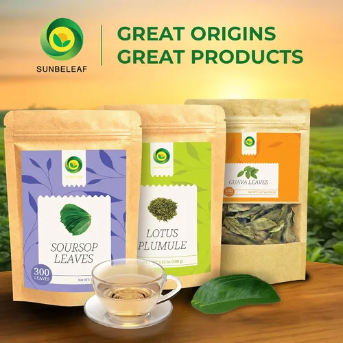 Vista 6 de SUNBELEAF Té de hoja de guanábana, 3.17 onzas