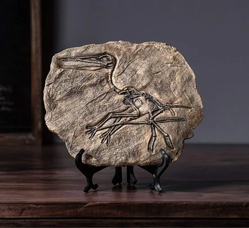 Vista 7 de XINDAM Modelo de estatua de fósil de dinosaurio de resina, esqueleto simulado para exhibición en hogar y oficina, caja decorativa de manualidades