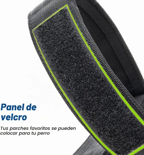 Vista 2 de TSPRO - Collar táctico para perro, hebilla metálica de liberación rápida Verde Básico - Estilo Parche