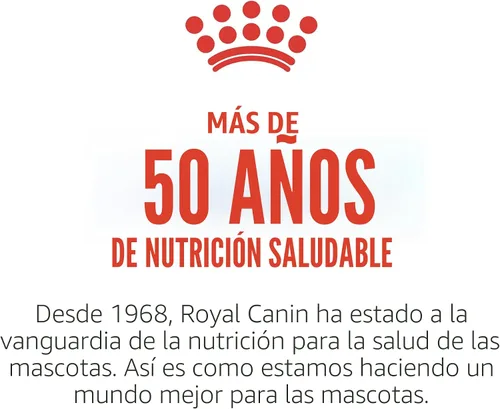 Vista 12 de Royal canin Shih Tzu 28 Junior mezcla seca de 1,5 kg