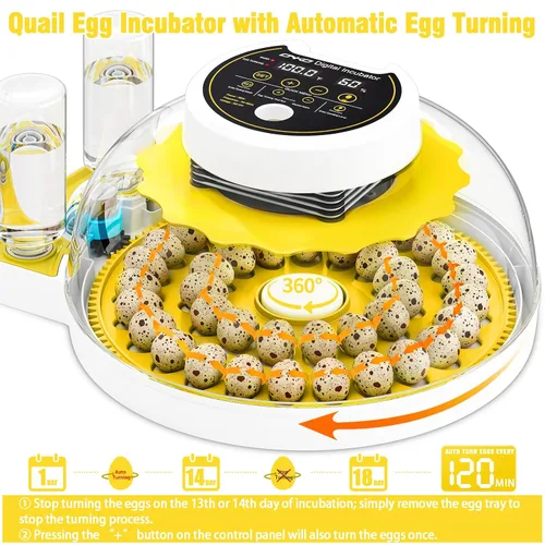 Vista 3 de Incubadora de huevos de codorniz 40 con huevos de control de humedad de Amarillo