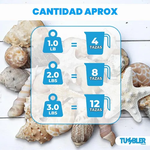 Vista 3 de Conjuntos de conchas – perfecto para manualidades, decoración del hogar de playa, bodas, relleno de jarrón y aulas.