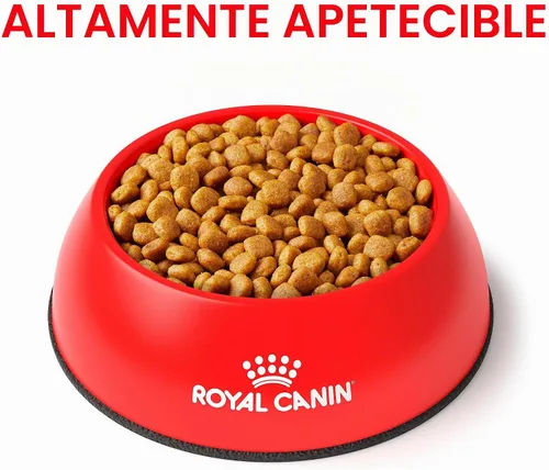 Vista 3 de Royal Canin Veterinary Diet Canine Urinary SO Alimento seco para perros adultos, bolsa de 6.6 libras
