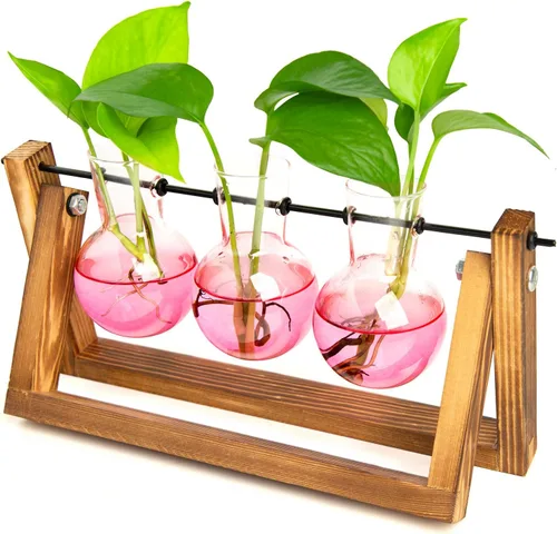 Vista 10 de XXXFLOWER Kit de terrario para plantas con soporte de madera, 3 jarrones de Azul