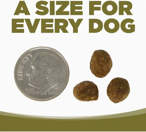 Vista 4 de NutriSource Alimento seco para perros sin granos, bocados pequeños, pollo y guisantes, 4 libras