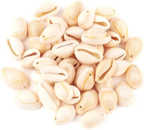Vista 9 de Cheriswelry 100 cuentas de concha para hacer pulseras, conchas de cauri, cuentas espaciadoras de verano, playa, cuentas ovaladas para hacer