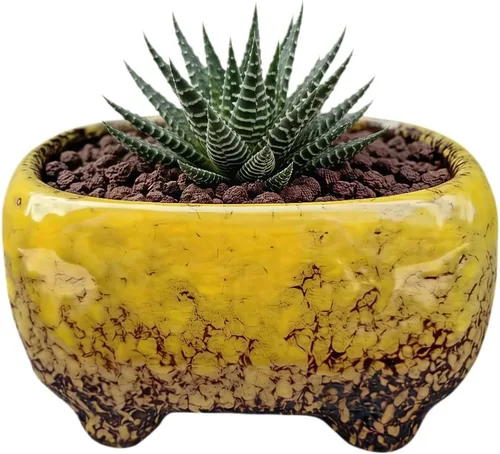 Vista 6 de Lindo recipiente rectangular de cerámica de 4.7 pulgadas para decoración del jardín del hogar, suculentas, cactus, macetas, no incluidas (verde)