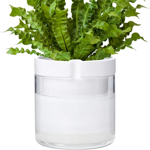Vista 23 de Phoenix Vine Maceta de riego automático de 4 pulgadas, maceta de arcilla de terracota con depósito de vidrio para plantas de interior, hierbas