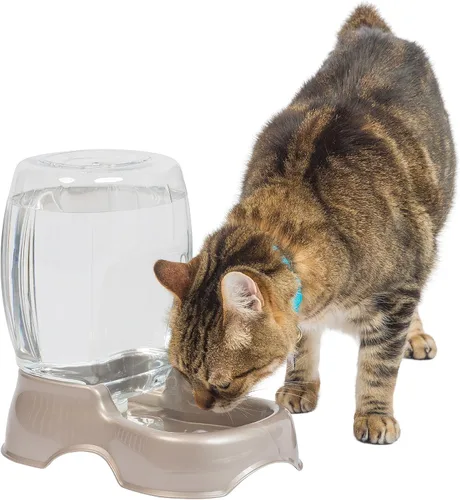 Vista 13 de Petmate Pet Cafe Dispensador de agua por gravedad para gatos y perros, cuenco de agua para gatos y perros, fabricado en Estados Unidos, 0.75 AZUL
