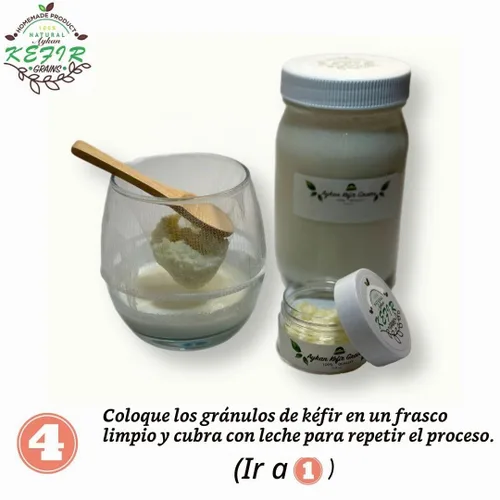 Vista 6 de Granos de kéfir de leche fresca - 1 cucharada