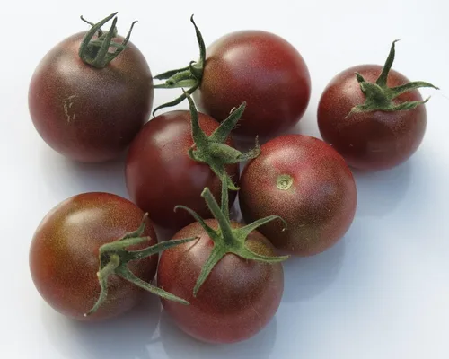 Vista 4 de Semillas Black Cherry Tomate Sweetie Indeterminado No GMO Heirloom