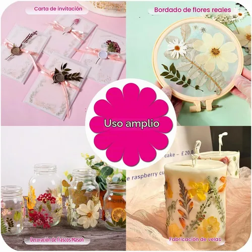 Vista 3 de Large Bulk Fall Dried Pressed Leaves for Craft, Real Dry Natural Flower Leaf Daisy for Resin Mold, Cake Decor, Phone Cases (Autumn Leaves)