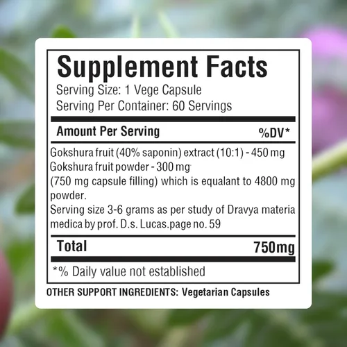 Vista 3 de Herbsforever Gokshura Cápsulas – Tribulus Terrestris – Saponina 30% – Apoyo urinario Resistencia y Energía Masculina – 60 Cápsulas Vege – 750 mg
